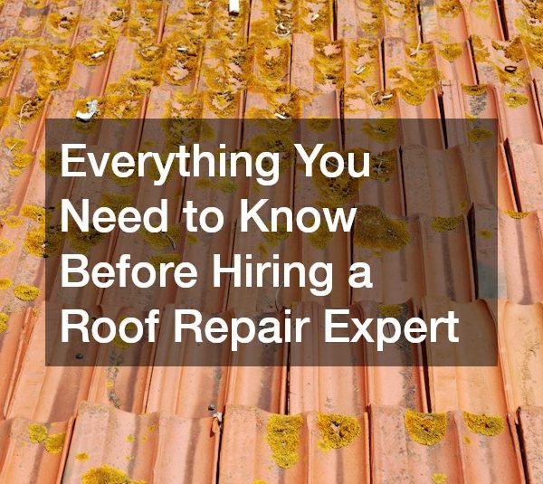 Everything You Need to Know Before Hiring a Roof Repair Expert