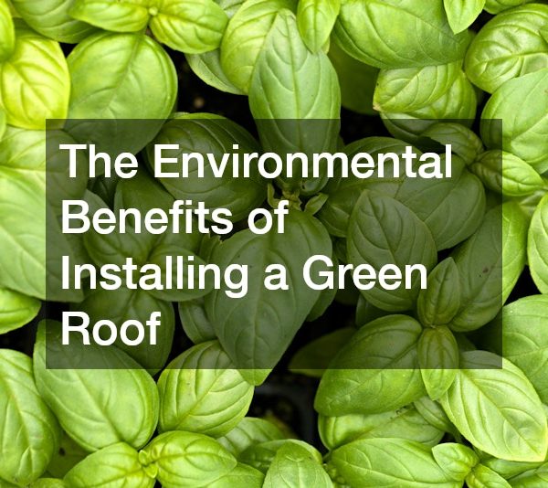 The Environmental Benefits of Installing a Green Roof